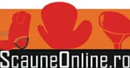 Logo Scaune Online