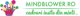 Logo Mindblower