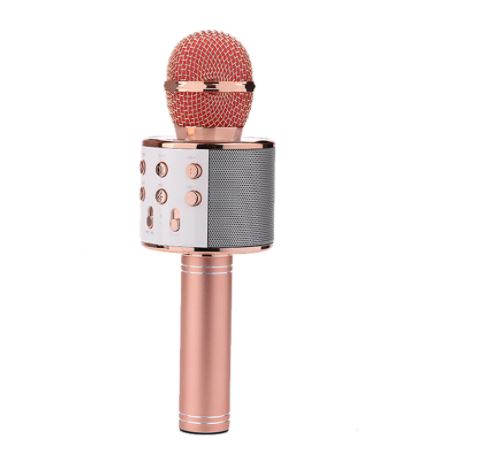 Microfon Wireless pentru Kararoke Bluetooth WS 858. JPG 1